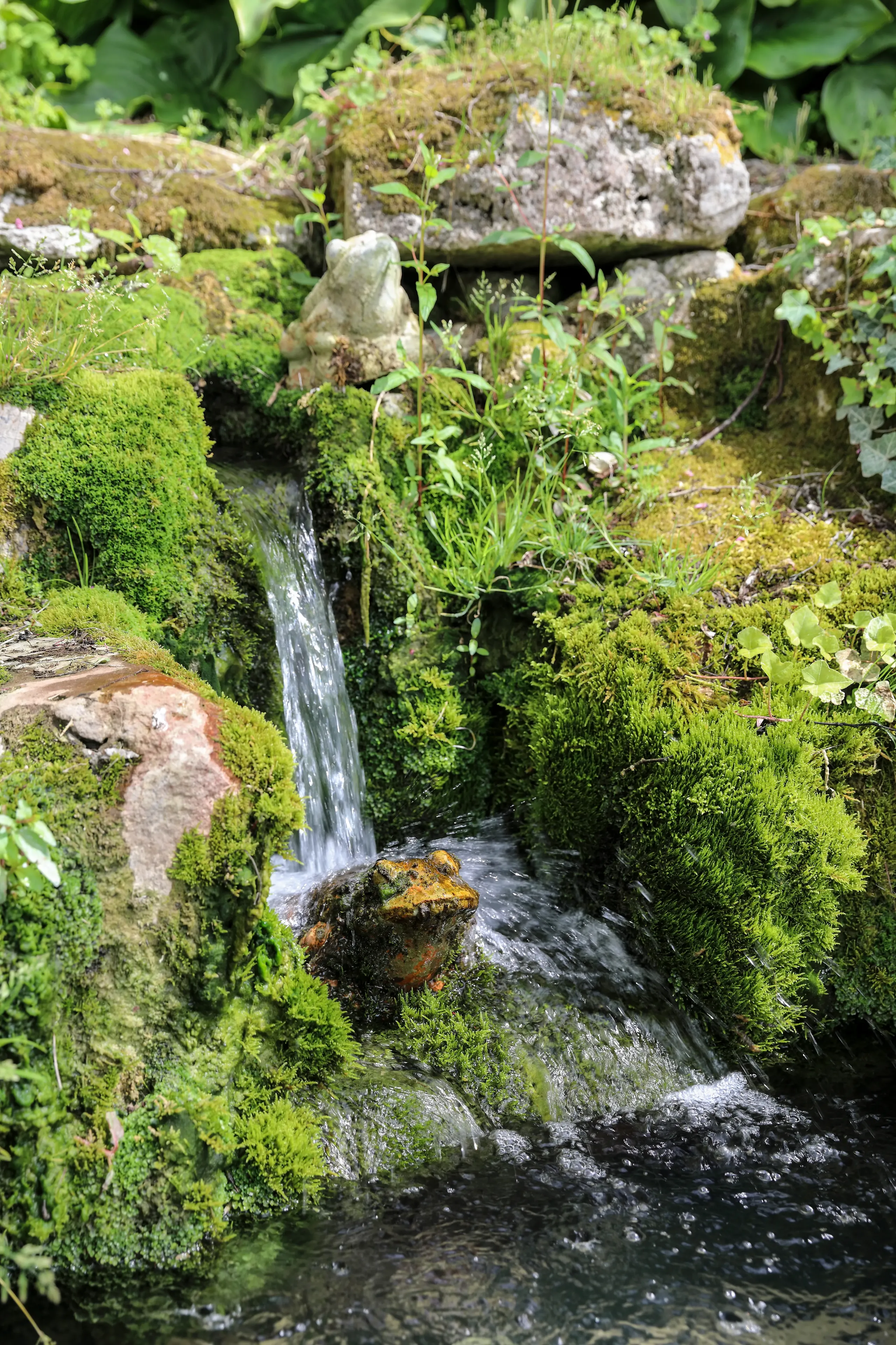 Petite cascade sur pierre couverte de mousse.