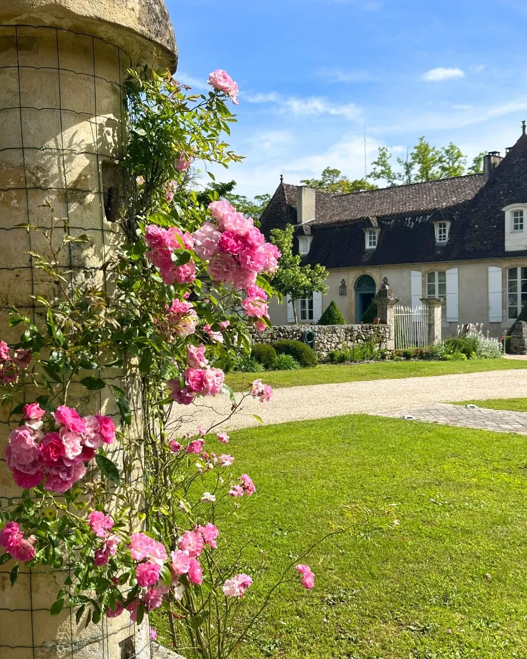 Roses roses devant une maison en pierre.