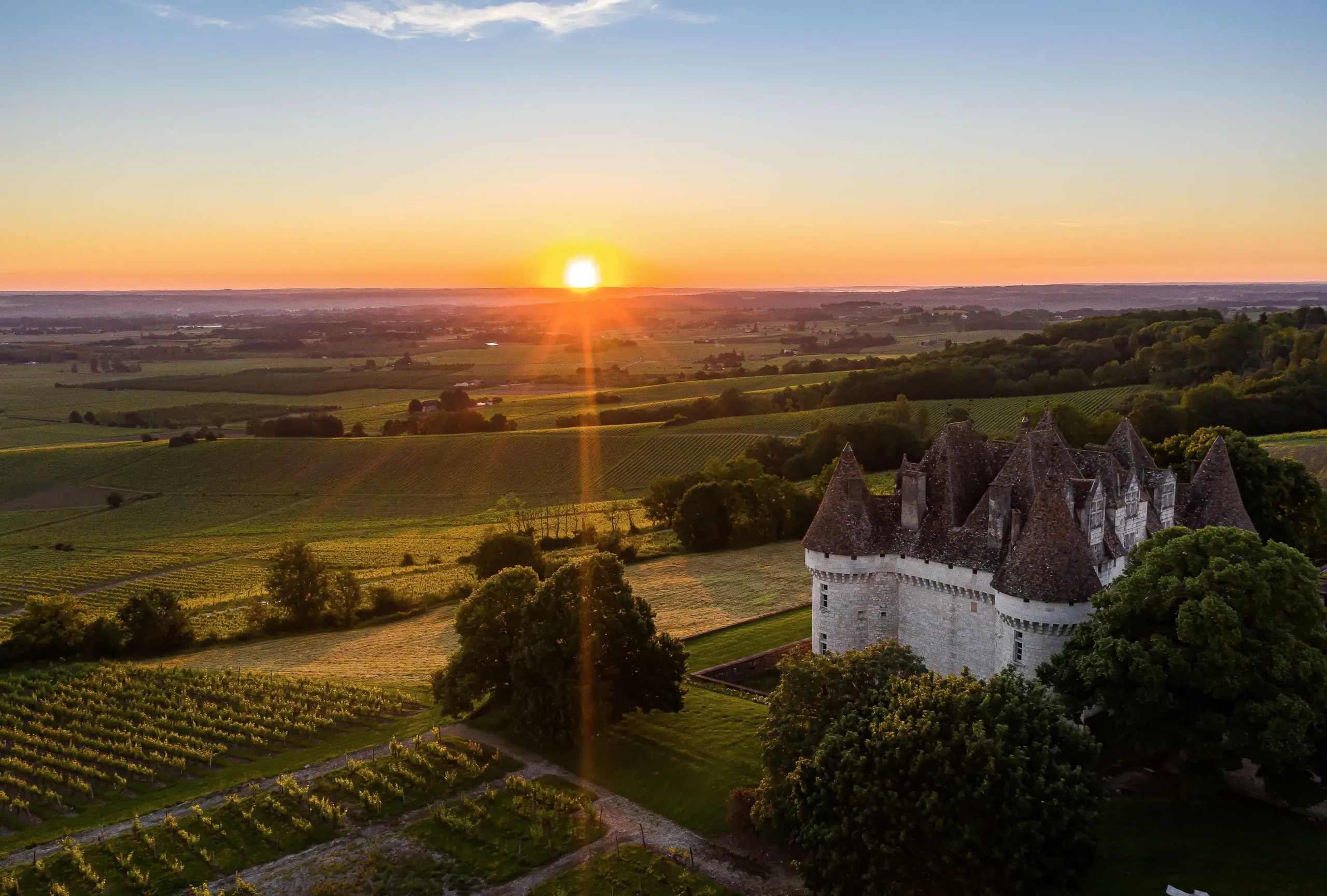 Château au coucher de soleil sur vignobles verdoyants.