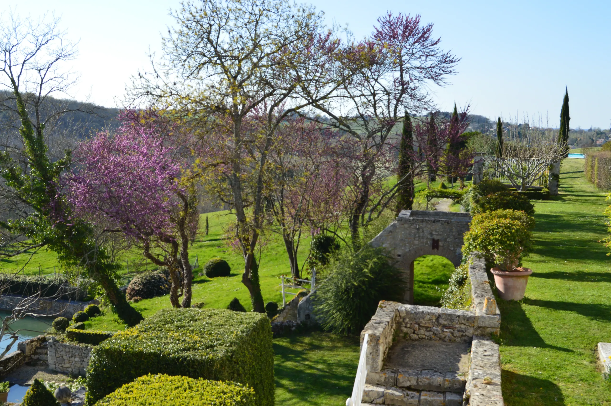 Jardin avec arbres en fleurs et herbe verte.