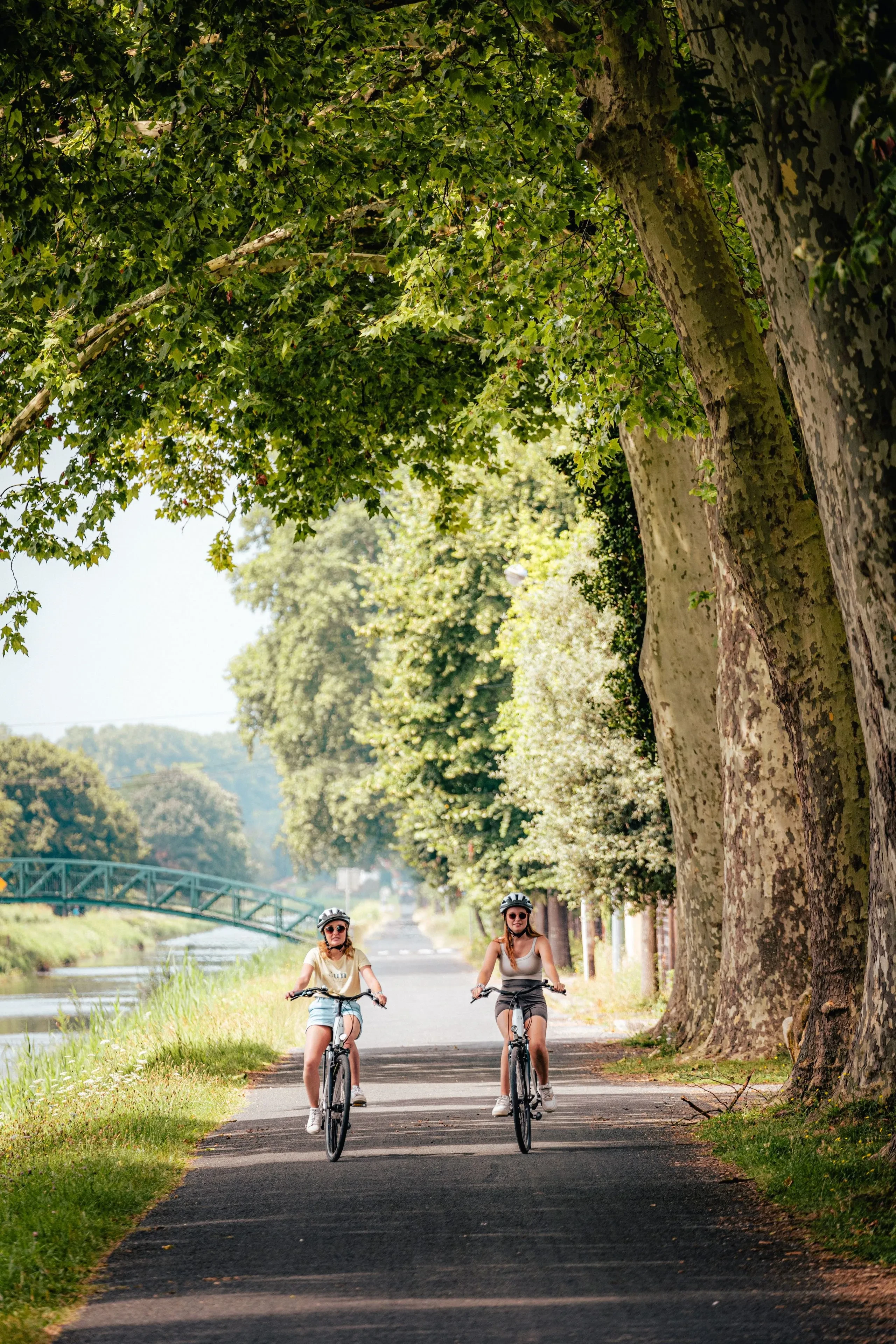 Deux cyclistes sur une piste arborée.